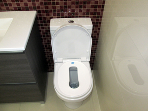 Način upotrebe Antihemoroid sedala